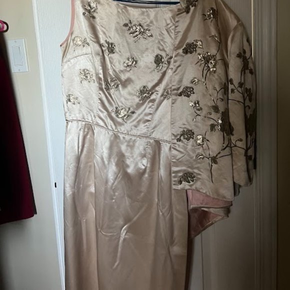 Gorgeous Traditional Pinkish-Beige Long Gown (SMALL) - Picture 3 of 8